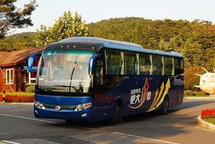 小微型客车租赁经营服务 发展现状与行业前景